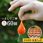 つまんでご卵 卵 大サイズ 60個