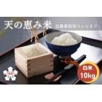 天の恵み米 10kg