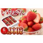 いちご さがほのか 900g