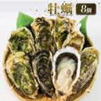 ふるさと納税 牡蠣 8個 殻付き 冷凍 生食用 かき 牡蠣 カキ オイスター oyster アヒージョ バーベキュー BBQ フライ 揚げ物 ごはん 夕飯 おか.. 岩手県大船渡市