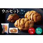 ふるさと納税 塩うに 焼うに セット うに ウニ 雲丹 汐うに 潮うに 焼き雲丹 寿司 Sea urchin ごはん 夕飯 おかず おつまみ 晩酌 米 丼 海産物.. 岩手県大船渡市