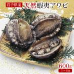 ふるさと納税 蝦夷あわび 約600g 冷凍 鮑 あわび アワビ 鮑 Abalone ステーキ 刺し身 刺身 バーベキュー バターソテー 正月 お正月 おせち B.. 岩手県大船渡市