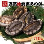 ふるさと納税 天然 活あわび 10個 特