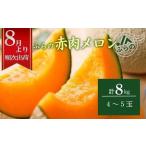 ふるさと納税 2026年夏発送 メロン 北海道 ふらの 赤肉 メロン 4〜5玉（計8kg） JAふらの 厳選 産地直送 赤肉 富良野メロン フルーツ 果物 .. 北海道南富良野町