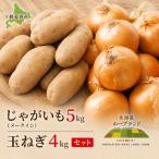 メークイン5kg 玉ねぎ4kg セット