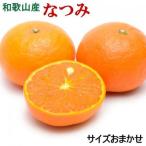 なつみ約5kg