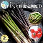 季節のやさい 厳選 3回 定期便D