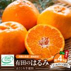 有田のはるみ 約4kg