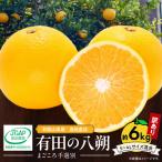 有田の八朔 はっさく 約6kg