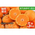 ふるさと納税 ＜先行予約受付中！2026年1月上旬以降順次発送予定＞数量限定！鹿児島県産無加温ハウス栽培 不知火(計約5kg：大将季) 柑橘 果.. 鹿児島県阿久根市