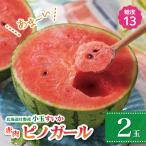 小玉すいか ピノガール 2玉