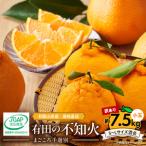 有田の不知火 しらぬひ 7.5kg