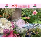 産バラのアレンジメントお届け便 1257