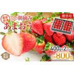 朝摘みあまおう 800g