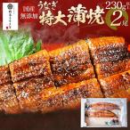 うなぎの特大蒲焼 2尾