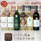 月山ワイン 赤ワイン6本 お楽しみセット