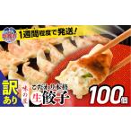 ふるさと納税 餃子 訳アリ こだわり本格生餃子100個 (50個×2)  宮城県塩竈市