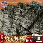 海苔 焼き海苔 全型 60枚