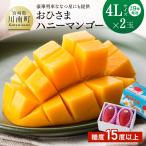 完熟マンゴー おひさまハニーマンゴー 4L×2玉