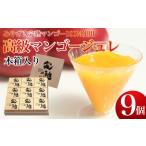 ふるさと納税 【宮崎マンゴー使用】高級マンゴーゼリー木箱入（9個入） ゼリー マンゴーゼリー ゼリー マンゴーゼリー ゼリー マンゴーゼリー 宮崎県小林市