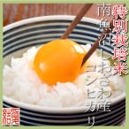 契約生産者 南魚沼しおざわ産コシヒカリ