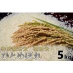 1027 米 玄米 特別栽培米 穂垂米 ひとめぼれ 5kg