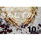 1028 お米 精米 白米 棚田米 米 きぬむすめ 10kg