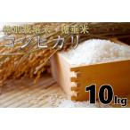 1264 米 玄米 特別栽培米 穂垂米 コシヒカリ 10kg