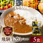 飛騨牛カレー 訳あり 160g×5袋