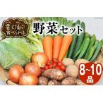 ふるさと納税 雲（う〜ん）と仙（ぜん）ぶ食べられる野菜セット（8〜10品）＜肥前グローカル＞【長崎県雲仙市】 長崎県雲仙市