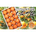 屋久島産たんかん 約5kg