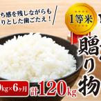 6ヶ月連続お届け 定期便 信州産 コシヒカリ
