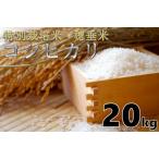 1401 米 精米 白米 特別栽培米 穂垂米 コシヒカリ 20kg