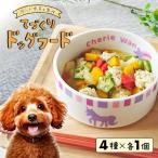 ドッグフード 産の野菜を 使った 手作り 4種×各1個