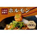 嘉穂牛 ホルモン 約800g