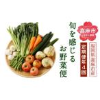 旬を感じるお野菜 定期便 年4回 季節 野菜セット