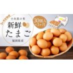 鶏卵 30ヶ入×3回 合計90個