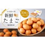 鶏卵 30ヶ入×6回 合計180個