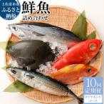 季節の鮮魚 おまかせお楽しみセット 20万円ダイヤモンドコ…