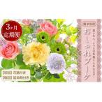 ”松竹梅の梅セット”届いたら いつもの花瓶に入れるだけ