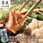 和牛もつ鍋セット 佐賀産和牛ミックスホルモン500g
