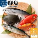 季節の鮮魚 おまかせお楽しみセット ゴールドコース