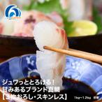 冷蔵 ジュワっととろける 甘みあるブランド真鯛