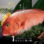 真鯛 3枚おろし 贅沢