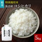 令和8年産 米農家自慢の特別栽培米 魚沼産