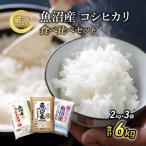 魚沼産 米 こだわりの食べ比べ セット 6kg
