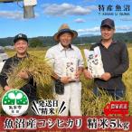 令和8年産 農家直送 魚沼産 コシヒカリ 精米 5kg