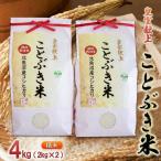 令和7年産 皇室献上 ことぶき米 精米 4kg