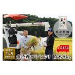 農家直送 魚沼産 コシヒカリ 無洗米 5kg