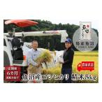 農家直送 魚沼産 コシヒカリ 精米 5kg